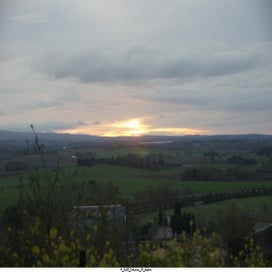 20250323_dsc06577-standard.jpg