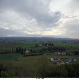 20250323_dsc06581-standard.jpg