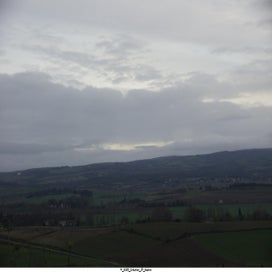 20250323_dsc06585-standard.jpg