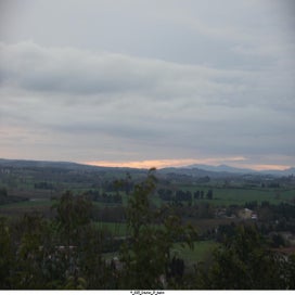 20250323_dsc06587-standard.jpg