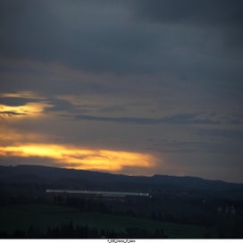 20250323_dsc06593-standard.jpg