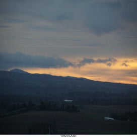 20250323_dsc06594-standard.jpg
