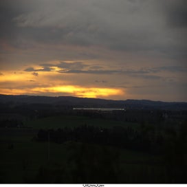 20250323_dsc06611-standard.jpg