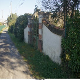 20250401_dsc06817-standard.jpg
