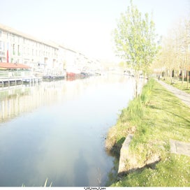 20250407_dsc06855-standard.jpg