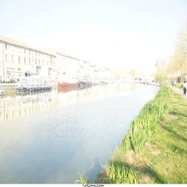 20250407_dsc06857-standard.jpg
