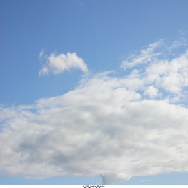 20250416_dsc06967-standard.jpg