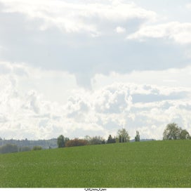 20250416_dsc06978-standard.jpg