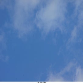 20250416_dsc07010-standard.jpg