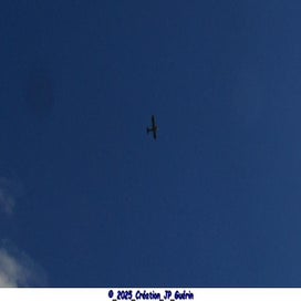 20250416_dsc0701101-standard.jpg