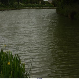 20250426_dsc07100-standard-lhqgiv.jpg