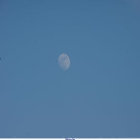 20250509_dsc07276-standard-3fxen5.jpg