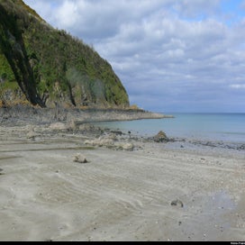 20240318_p1100955-1.jpg