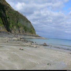 20240318_p1100959-1.jpg