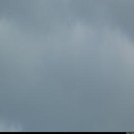 20240318_p1100947.jpg