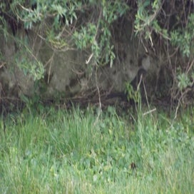 20231231_dscf0022.jpg