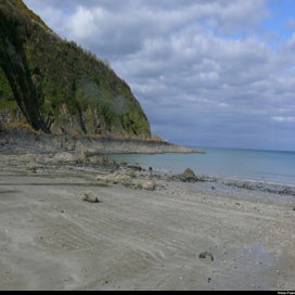 20240318_p1100964-1.jpg