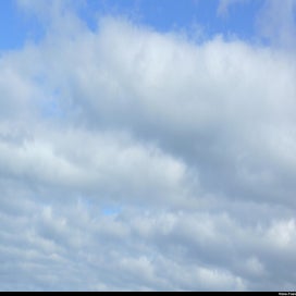 20240318_p1100929-1.jpg