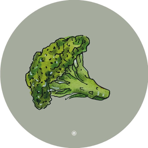 B2B MUURCIRKEL BROCCOLI - illustratie van EL