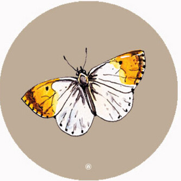 B2B MUURCIRKEL CITROENVLINDER - illustratie van EL