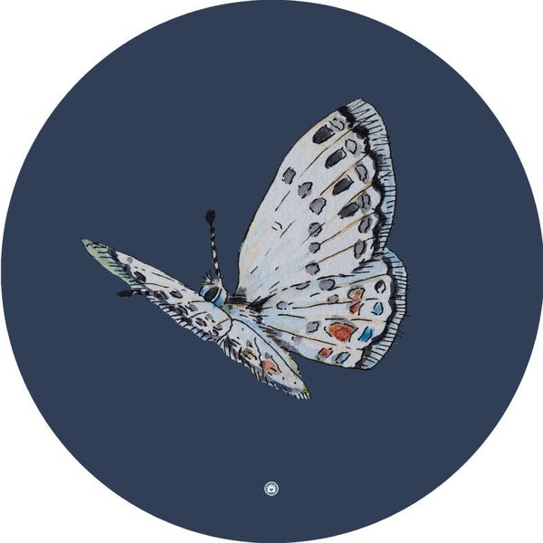 MUURCIRKEL VLINDER navy - illustratie van EL