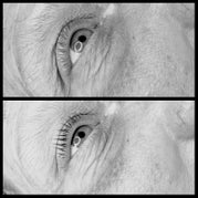 image1-3.jpeg
