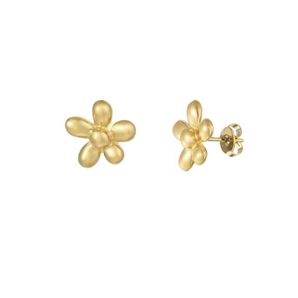 Cute Daisy oorbellen