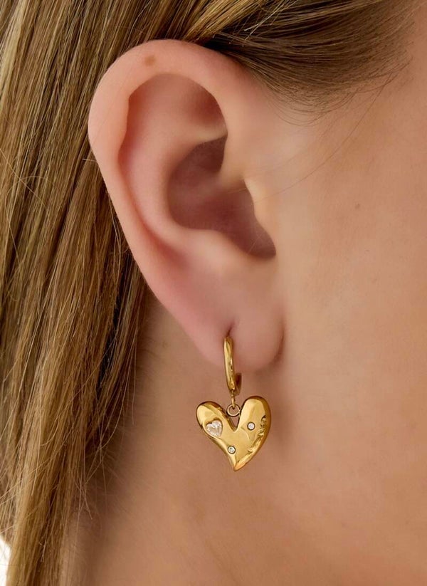 Lucky to have oorbellen