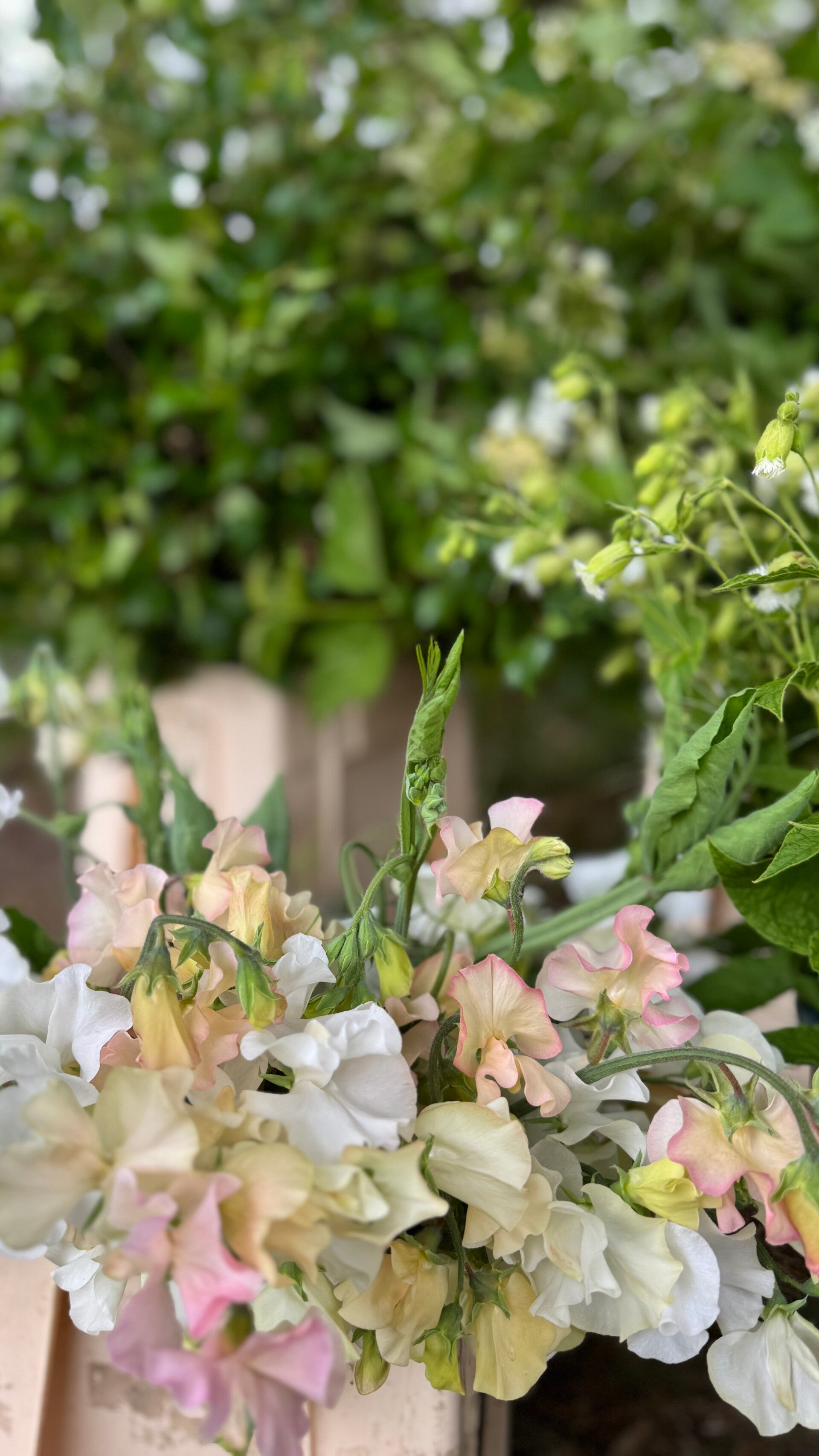 British Flower Masterclass