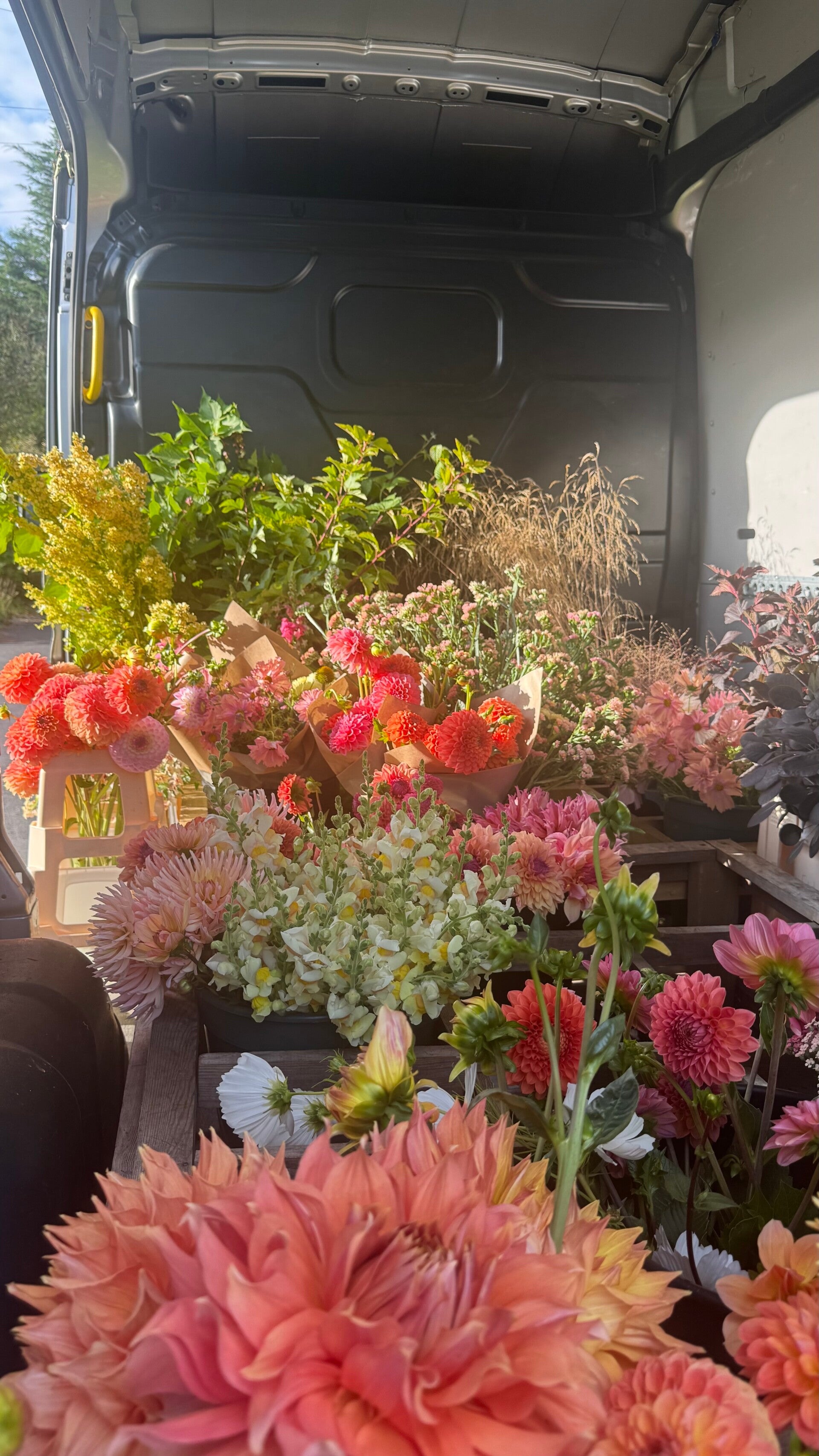 British Flower and Foliage Masterclass Duo