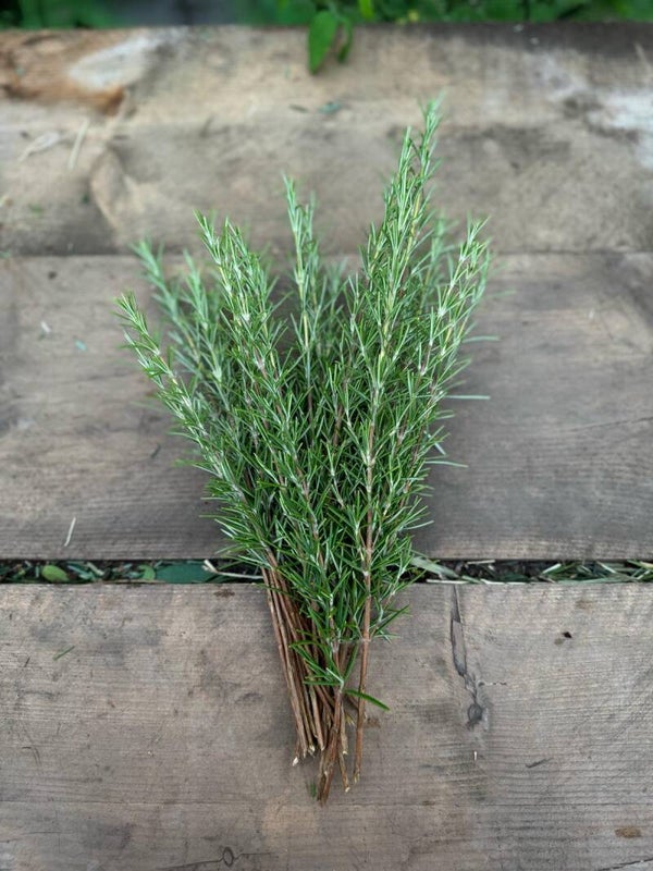 Rosemary sprigs
