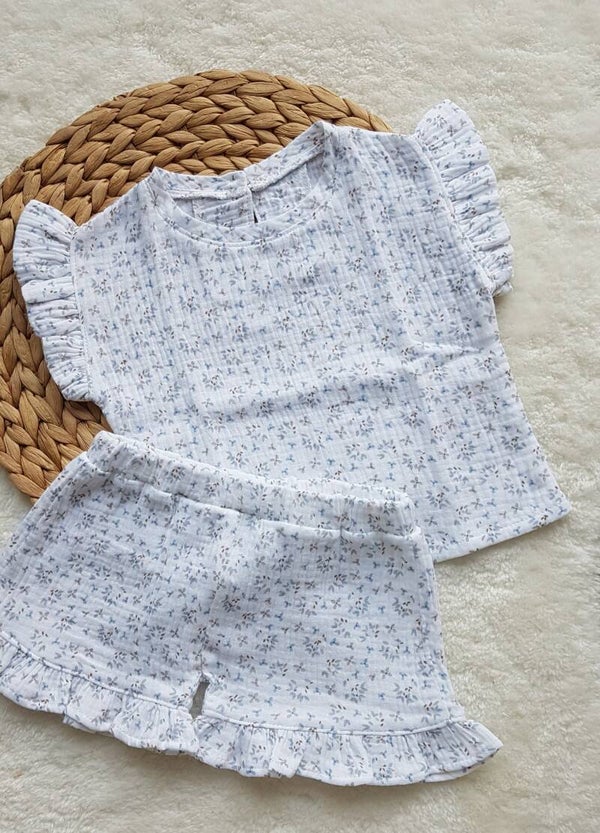 Setje bloemen hydofiel