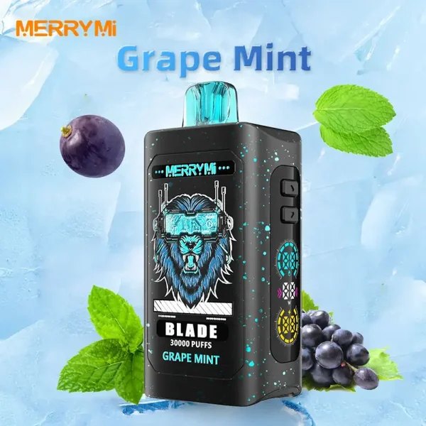 Merrymi