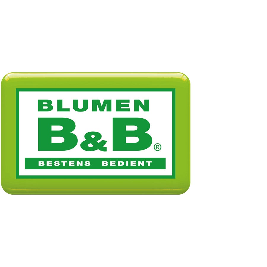 BLUMEN B&B R.BIGL GESMBH
