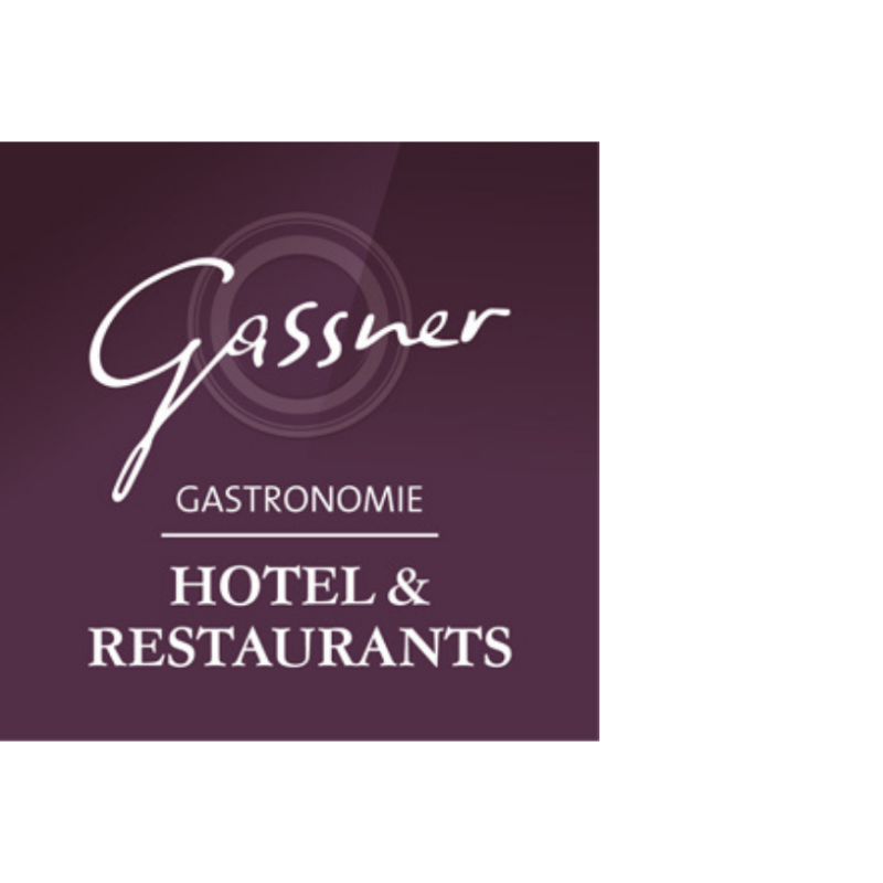 Gassner Beteiligung GmbH
