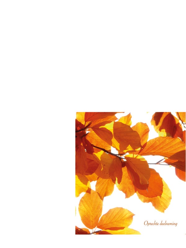 rouwkaart 7