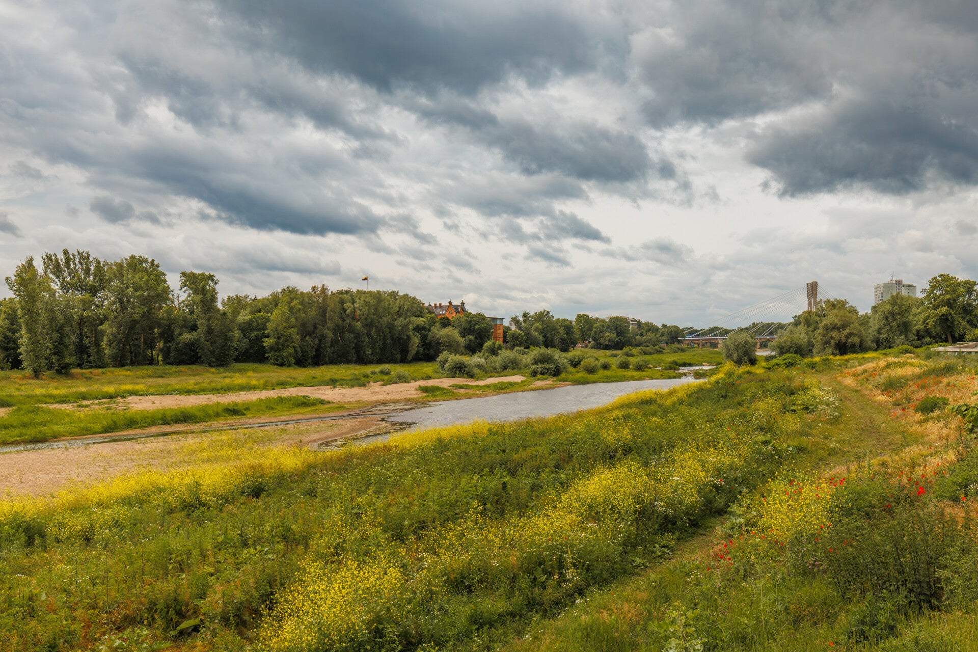 Alte Elbe in Magdeburg