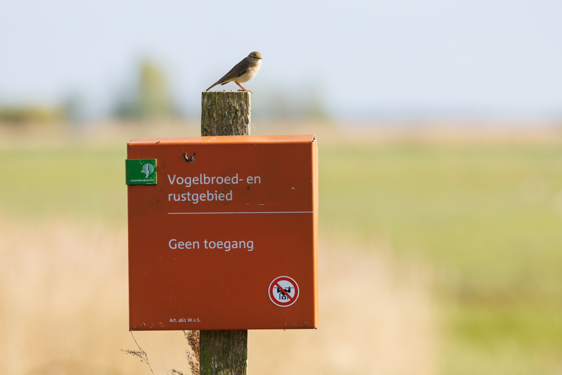 Sneekermeer Vogelbroed en rustgebied