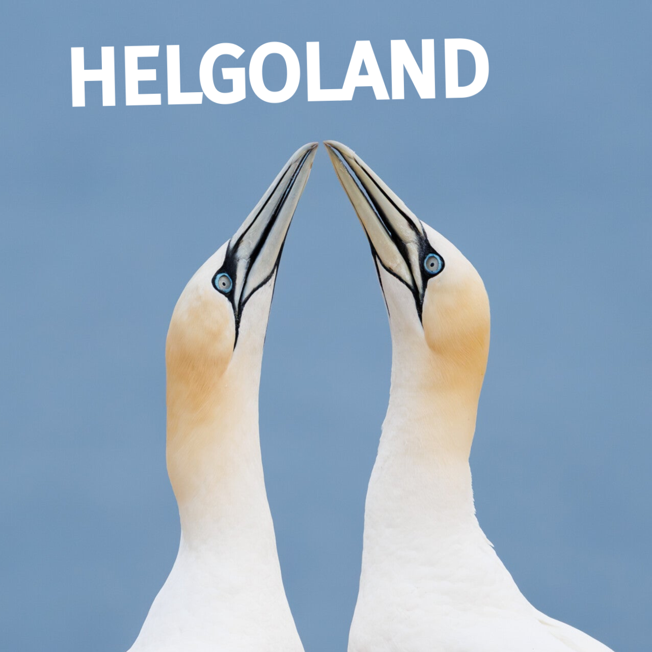 Helgoland