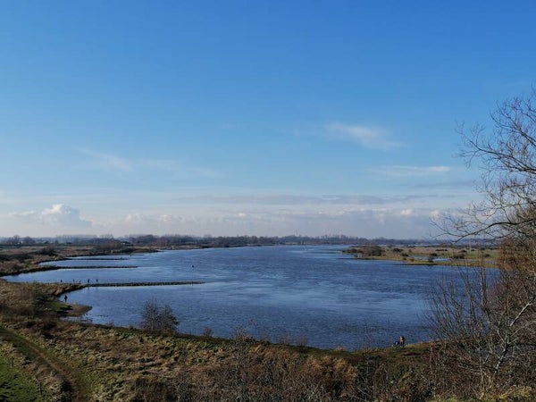 Wandeling Vragenzaaier - 1 uur 14 mei 14.00