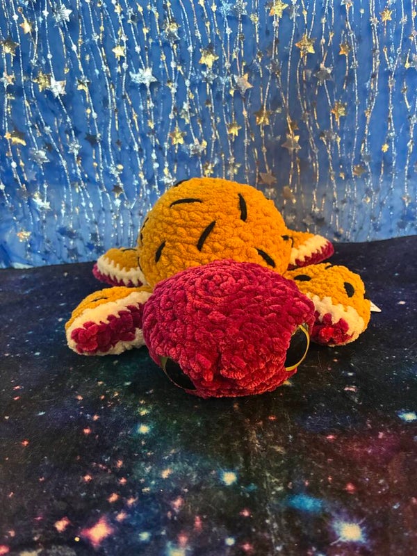Passionfruit Turtle