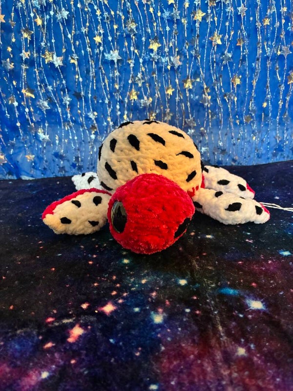 Dragonfruit Turtle