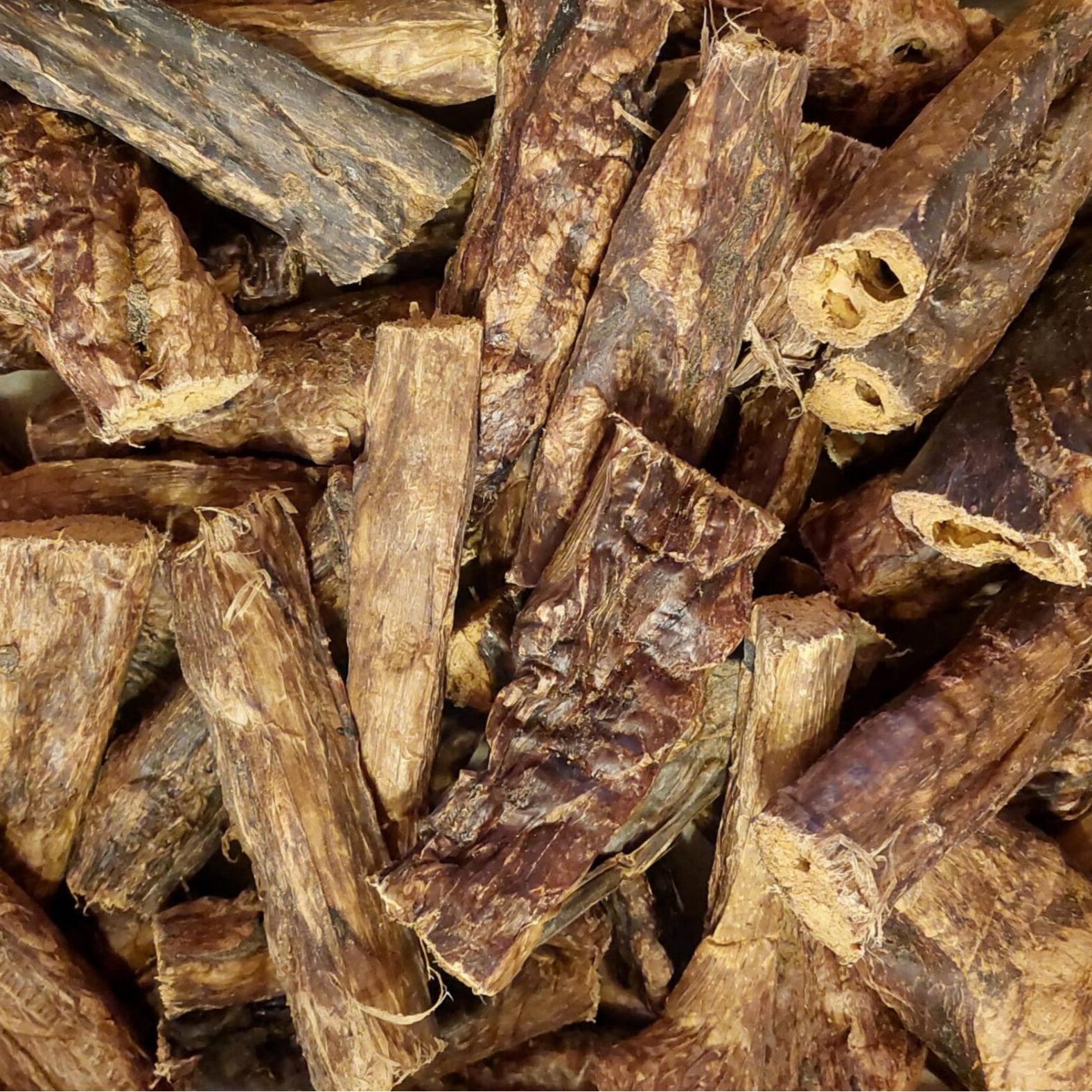 Buffellong 12 - 15 cm