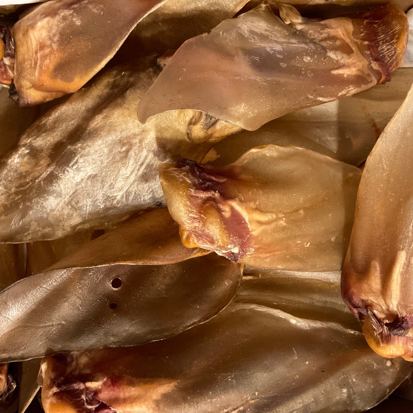 Buffeloren met vlees, groot