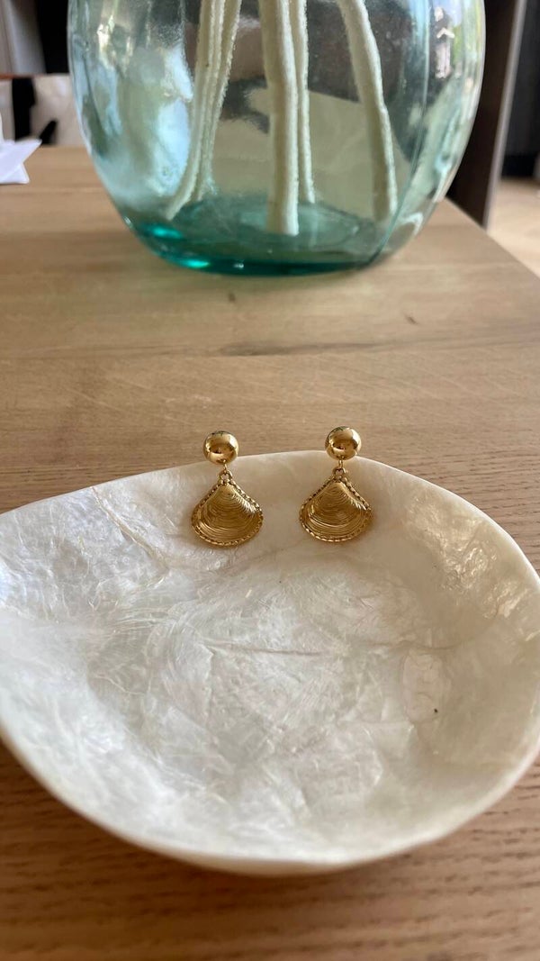 Goudkleurige Schelp Oorbellen – 18K PVD Goldplated 304 RVS | Beach Style Studs
