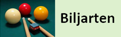 Activiteit Biljarten