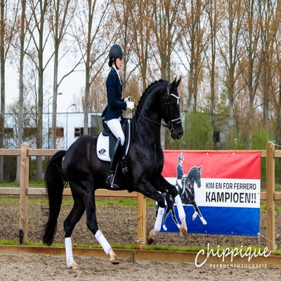 petervandesande-68.jpg