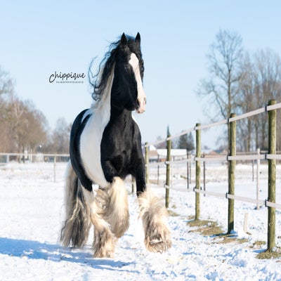 Tinkerstalvandeachtzalighedenweb-12.jpg