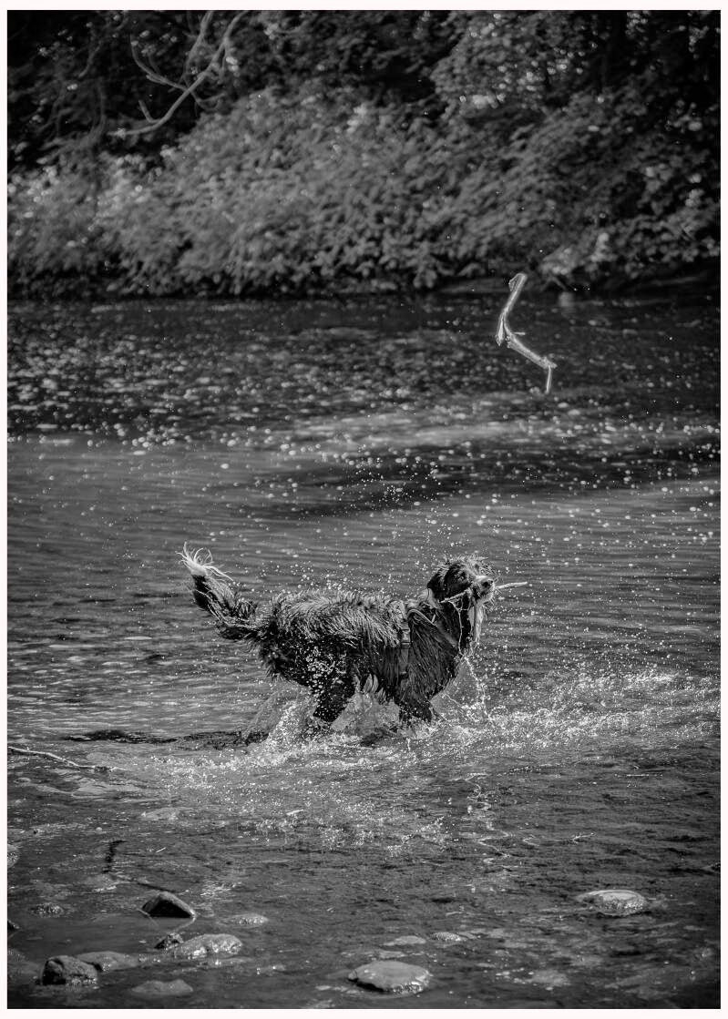 _a4a5958-edit-standard-c8msmo.jpg