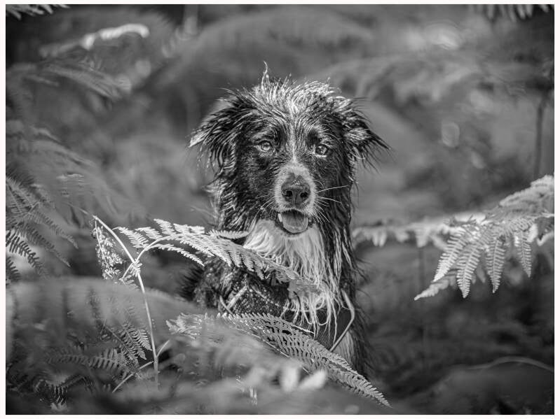 _a4a6021-edit-standard-329m8i.jpg